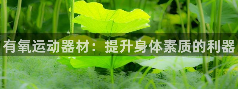 意昂体育4招商电话地址是多少：有氧运动器材：提升身体