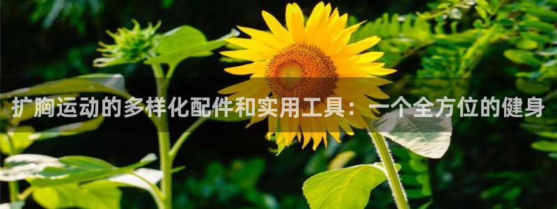 意昂体育4平台是正规平台吗：扩胸运动的多样化配件和实