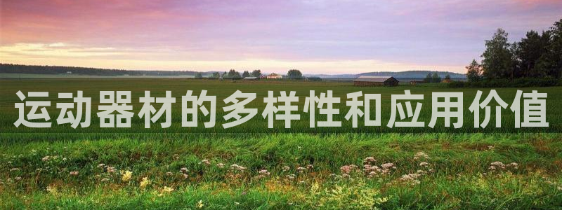 意昂体育4招商电话是多少：运动器材的多样性和应用价值