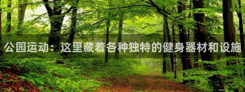 意昂体育4平台：公园运动：这里藏着各种独特的健身器材