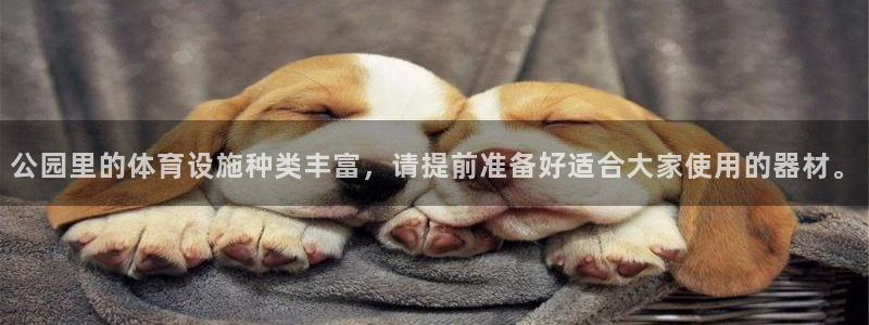 意昂4集团E.ON：公园里的体育设施种类丰富，请提前