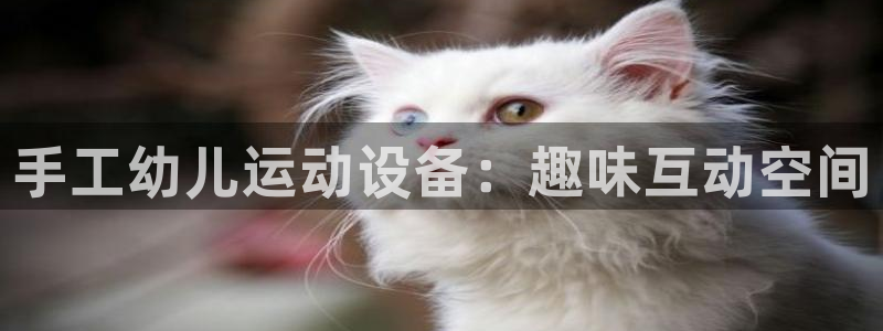 意昂4娱乐40996：手工幼儿运动设备：趣味互动空间