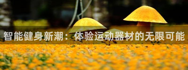 意昂4官方