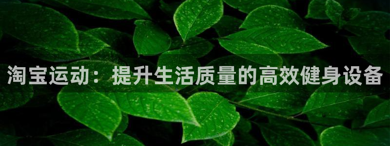 意昂4代理：淘宝运动：提升生活质量的高效健身设备