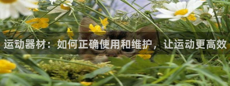 意昂4娱乐下载：运动器材：如何正确使用和维护，让运动