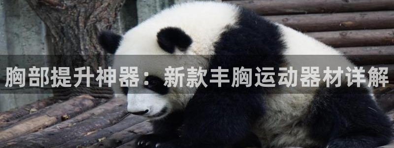 意昂体育4招商电话号码查询