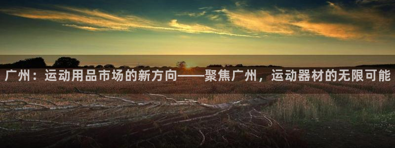 意昂体育4平台注册：广州：运动用品市场的新方向——聚