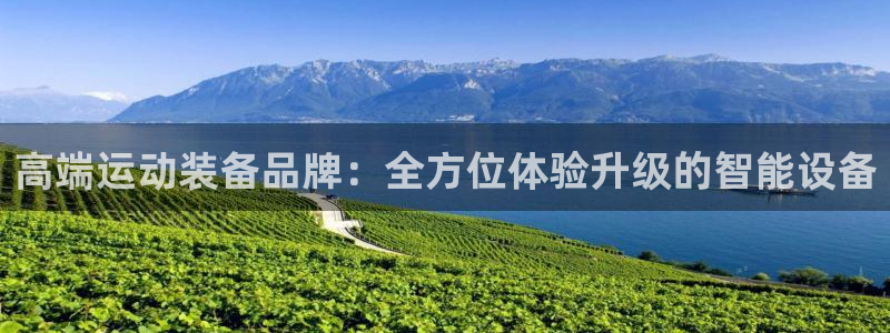 意昂体育4平台注册流程图：高端运动装备品牌：全方位体