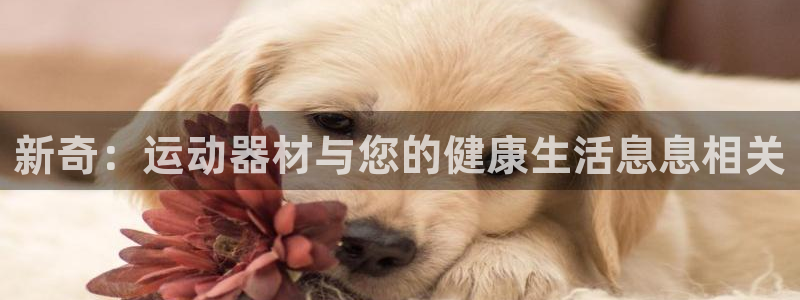 意昂体育4招商电话号码是多少啊：新奇：运动器材与您的