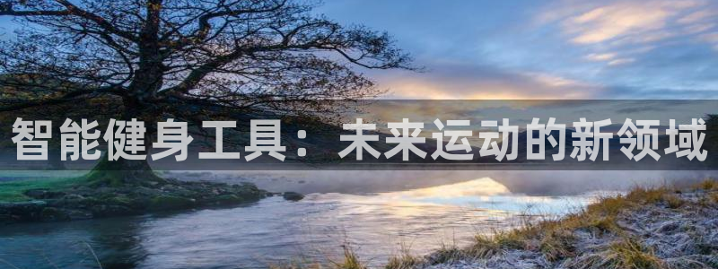 意昂体育4平台注册：智能健身工具：未来运动的新领域