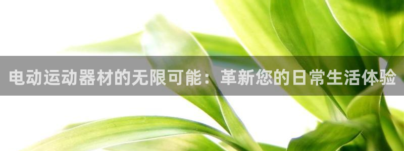 意昂体育4平台注册：电动运动器材的无限可能：革新您的