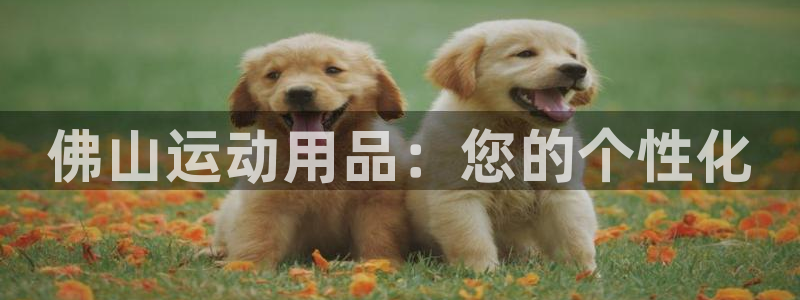 意昂体育4招商电话号码是多少号：佛山运动用品：您的个