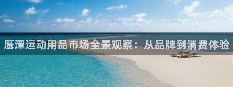 德国意昂4集团：鹰潭运动用品市场全景观察：从品牌到消