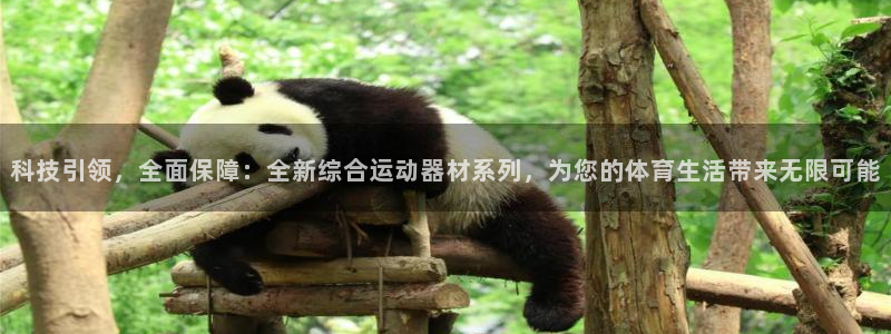 意昂4集团官网网址：科技引领，全面保障：全新综合运动