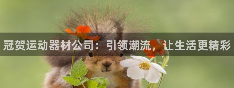 意昂4集团E.ON：冠贺运动器材公司：引领潮流，让生