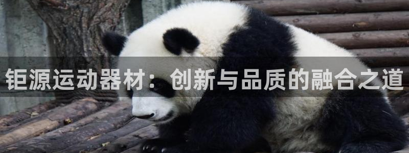 意昂体育4招商电话号码查询是多少：钜源运动器材：创新