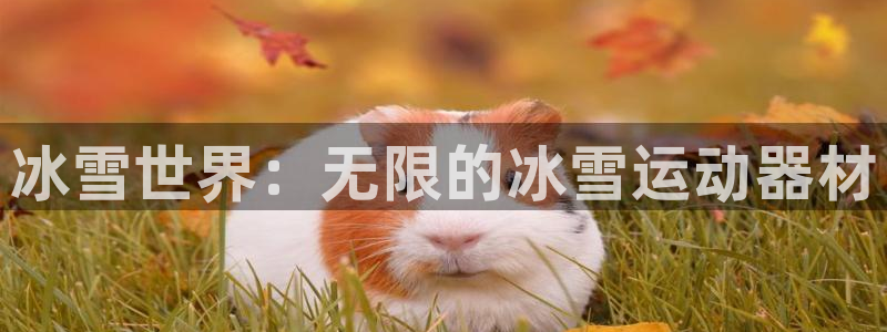 意昂4新能源：冰雪世界：无限的冰雪运动器材