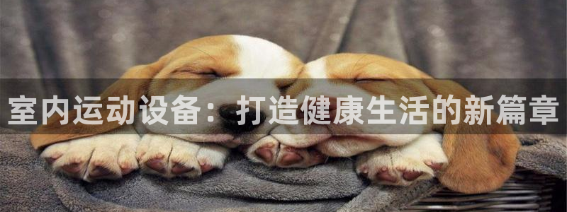 意昂体育4平台注册流程图：室内运动设备：打造健康生活