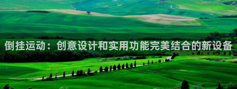 意昂体育4平台注册：倒挂运动：创意设计和实用功能完美