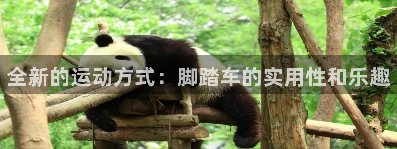 注册意昂4：全新的运动方式：脚踏车的实用性和乐趣