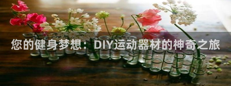 意昂体育4平台：您的健身梦想：DIY运动器材的神奇之