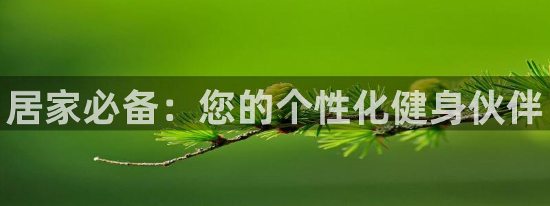 意昂体育4平台注册流程图：居家必备：您的个性化健身伙