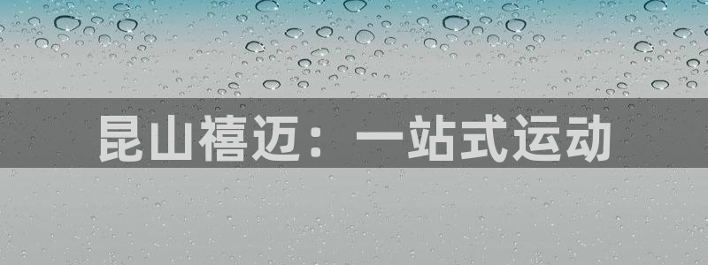 意昂4集团E.ON：昆山禧迈：一站式运动