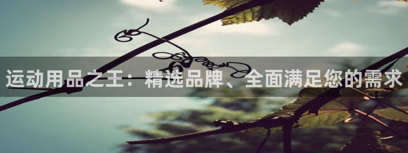 意昂体育4招商电话：运动用品之王：精选品牌、全面满足