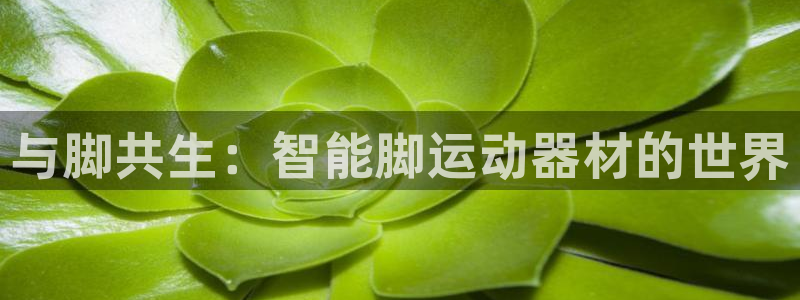 意昂体育4招商电话号码：与脚共生：智能脚运动器材的世界