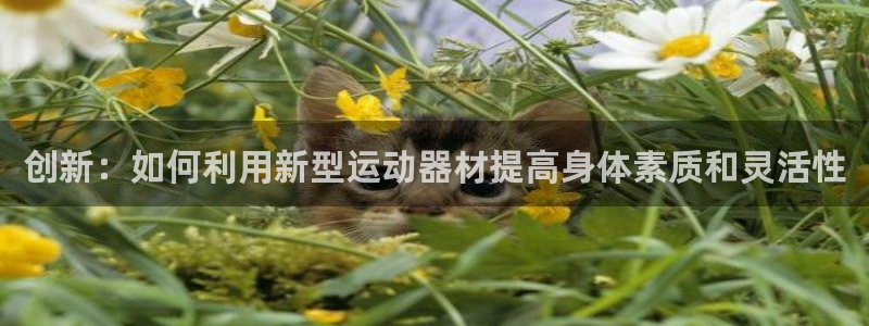 意昂体育4招商电话是多少：创新：如何利用新型运动器材