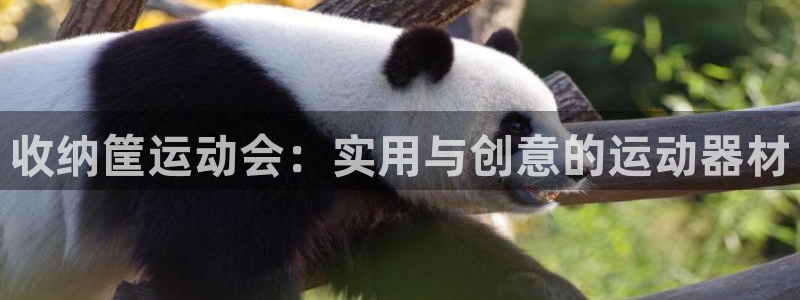 意昂体育4平台是正规平台吗：收纳筐运动会：实用与创意