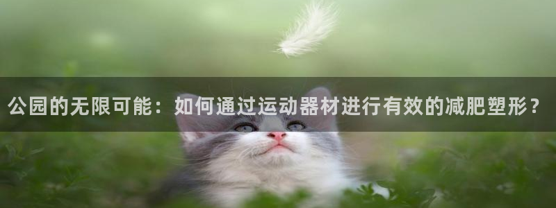 意昂体育4平台是正规平台吗：公园的无限可能：如何通过运动器材