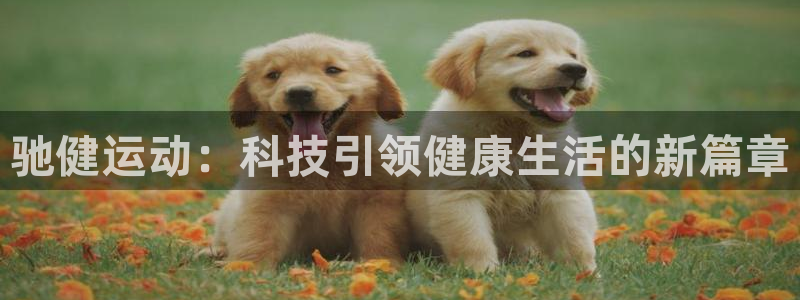 意昂4神州：驰健运动：科技引领健康生活的新篇章