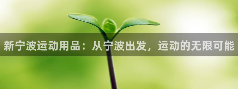 意昂4娱乐是那个系列的台子
