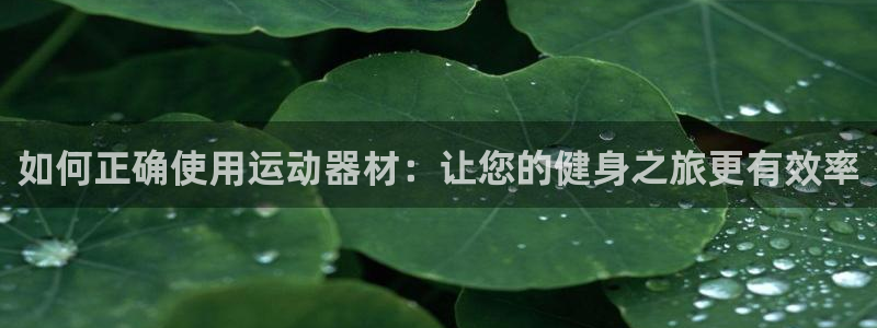 意昂4娱乐首页网站大全