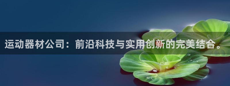 注册意昂4：运动器材公司：前沿科技与实用创新的完美结合。
