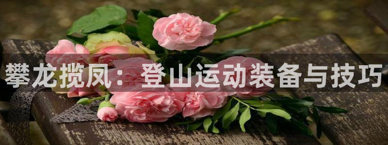 意昂体育4招商电话号码是多少号：攀龙揽凤：登山运动装