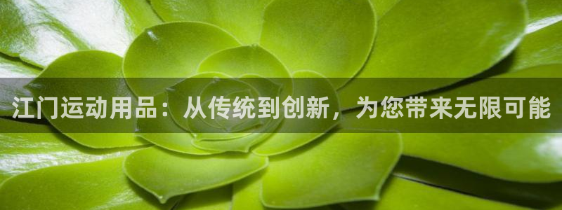 意昂4代理