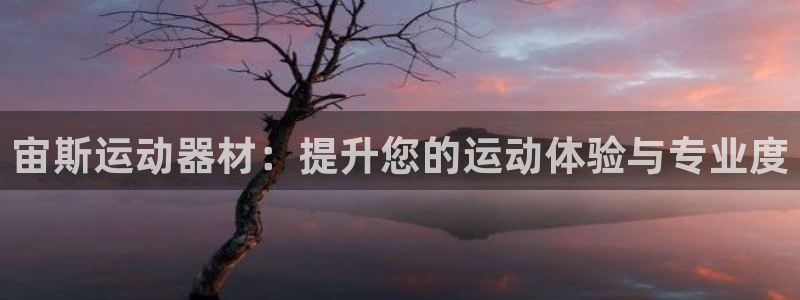 意昂4娱乐平台：宙斯运动器材：提升您的运动体验与专业度