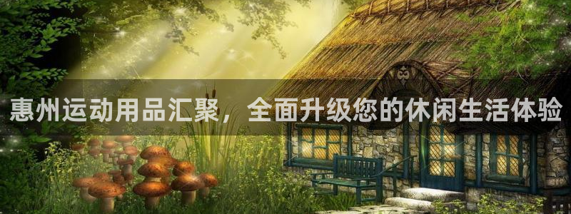 意昂4科技：惠州运动用品汇聚，全面升级您的休闲生活体验