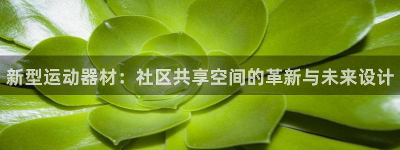 意昂体育4平台假的吗是真的吗