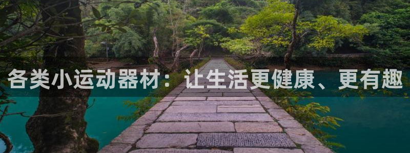 意昂体育4娱乐：各类小运动器材：让生活更健康、更有趣